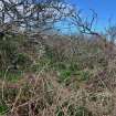 Field survey photograph