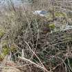 Field survey photograph