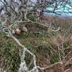 Field survey photograph