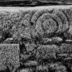 East Balhalgardy, Pictish Symbol Stone. Front face of stone forming lintel, 17 April 1996 (print mounted inverted).