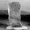 Rhynie Pictish symbol stone. 'Craw Stone'