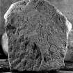 Newbigging, Leslie. View of Pictish symbol stone, dated 14 November 1995.