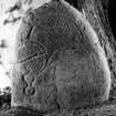 Daviot, Pictish symbol stone. View from NE, dated 19 April 1996.