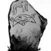 The Broomend of Crichie symbol stone, from J Stuart, The Sculptured Stones of Scotland, i, pl.10.
Filed under NJ71NE 8.