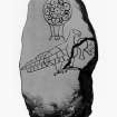 Inveravon symbol stone from J Stuart, The Sculptured Stones of Scotland, i, pl.15.
Filed under NJ13NE 7.01.