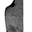 Inverurie symbol stone 4, the horse-incised stone, from J Stuart, The Sculptured Stones of Scotland, i, pl. 114.
