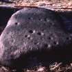 View of cup-marked stone.