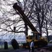 Excavation slide - view of the lifting of a stone.