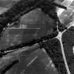 Elginhaugh, Roman fort and road: air photograph of cropmarks.