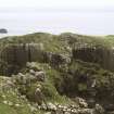 Field survey on Canna.