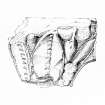 Iona, Iona Abbey.
Sketch showing carved capitals of cloister arcade.