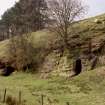 View of caves, from SE.