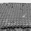 Detail of roof showing ordinary and vented pantiles