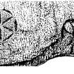 Publication drawing; Eilean Mor, carved stones (1) and (2). Hexafoil and Chi-rho symbol incised onto cave wall.