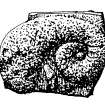 Drawing of fragment of sculptured stone. Publication drawing: Inventory pp. 102-3.