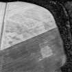 Eastfield, Inveresk: oblique air photograph of palisaded homestead, enclosures and pit-alignment