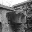 View of water-leaf capital fragment in N wall of walled garden, Arthurstone House.