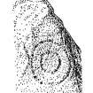 Publication drawing; Temple Wood SW circle, upright stone (a) on plan, showing concentric circles. Photographic copy.