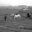 Farmstead, Conisby, Islay.
View of horse-gang at work.