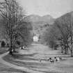 Aberuchill Castle.
View of avenue of trees with castle in distance.