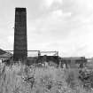 Bargeddie, Drumpark Brickworks
View from SW showing SW kilns and chimney