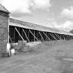 Ochiltree Tileworks
View from S showing ESE front of W drying sheds