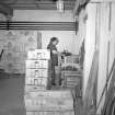 Aberdeen, Sinclair Road, Victoria Sawmill and Box Factory, Interior
View showing woman finishing fish box