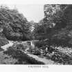 Edinburgh, Colinton, General
View of Colinton Dell
Copied from 'Colinton Old and New'