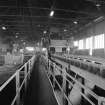 Glasgow, General Terminus Quay, Loading Shed; Interior
Vie wof conveyors on top floor