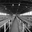 Glasgow, General Terminus Quay, Loading Shed; Interior
View of conveyors on top floor