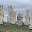 Chambered cairn and circle