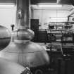 Glenmorangie Distillery, Interior
View showing stills