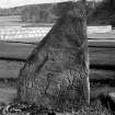 Pictish symbol stone no.4, bearing figure of horse.
Original negative captioned: 'Sculptured Stone in Inverurie Churchyard'.