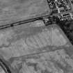 Luncarty, oblique aerial view, taken from the ESE, centred on the cropmarks of a settlement, an enclosure and linear cropmarks.