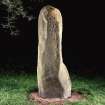 View of ogham inscribed stone (flash-lighting).