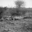 View showing remains of mill