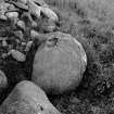 Pictish symbol stone no.1.
Original negative captioned 'Sculptured Stone at Congash, Grantown, Inverness. 1910'.