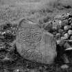 Pictish symbol stone no.2.
Original negative captioned: 'Sculptured Stone at Congash, Grantown, Inverness Aug 1910'.