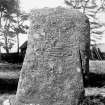 General view of Pictish symbol stone.
Original negative captioned: 'Sculptured Stone at Cothill, Craigmyle near Torphins July 1902'.