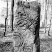 Pictish symbol stone, resting on top of replica stone.
Two glass half-plate negatives, captioned: 'Sculptured Stone at Park Deeside 1908'.
