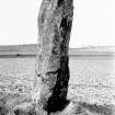 View of ogam-inscribed standing stone.
Original negative captioned: 'Auquhollie Ogham inscribed stone near Stonehaven June 1917'.