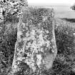 View of cross-slab.
Original negative captioned: 'Sculptured Stone (Cross) at Skinnet, Halkirk, Caithness July 1906'.