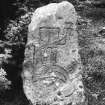 View of Pictish symbol stone set on modern base.
Original negative captioned: 'Sculptured Stone at Tillypronie near Migvie 1904'.