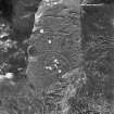 View of Pictish symbol stone set on modern base.
Original negative captioned: 'Sculptured Stone at Tillypronie Aug 1903'.