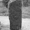 Pictish symbol stone standing in kirkyard. View of face, showing double-disc and Z-rod, and two crescent and V-rods.
Half-plate glass negative.