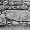 View of two fragments of Pictish symbol stones (Clatt nos.2 and 3).
Original negative captioned: 'Sculptured Stone in West Wall of Clatt Churchyard Sep 1905 Size of stone 34 x 15 inches also fragment of sculptured stone formerly discovered by Mr. Macdonald in churchyard'.

