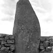 Tall standing stone, incorporated into stone dyke.
Original negative captioned 'The Gowk Stane on farm of Bendaugh, near Kinaldie Station 1904'.
