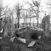 Recumbent stone and pillars viewed from the north and from inside the circle.
Original negative captioned 'Stone Circle near Dyce.  Altar stone from the North. March 1902'.