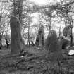 Recumbent stone and pillars, and adjacent standing stones, viewed from the east.
Original negative captioned 'Stone circle near Dyce   Altar stone 7(indecipherable) from the East March 1902'.