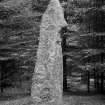 View of standing stone.
Glass half-plate negative, captioned: 'Standing Stone, remains of Circle at Upper Balblair Midmar July 1904'."